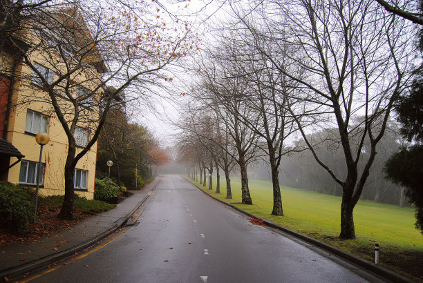 多雾的早晨图片下载