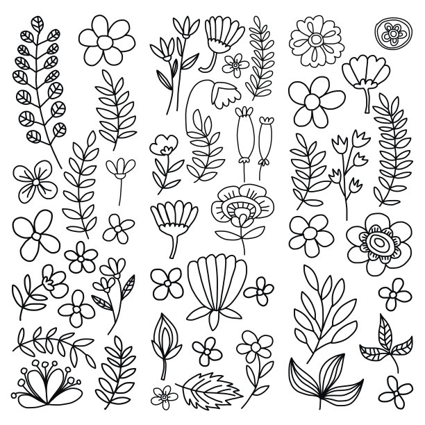 矢量图案与鲜花花园生日婚礼明信片图片下载