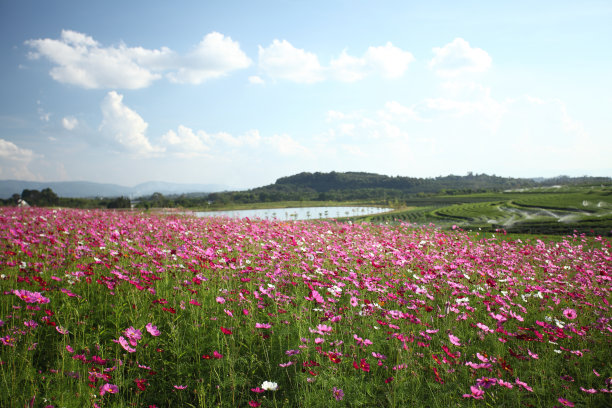 宇宙领域图片下载