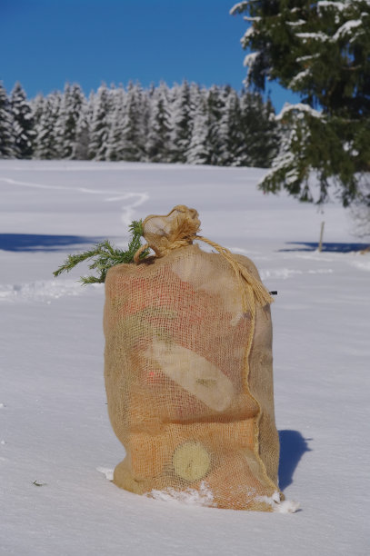 圣诞节图片下载