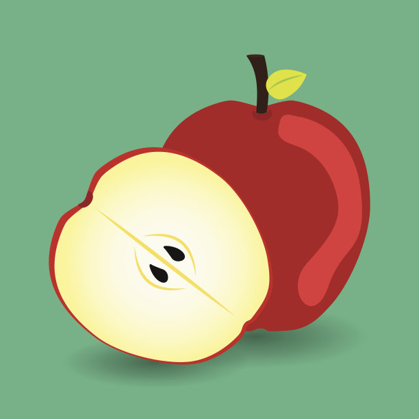 水果设计，矢量插图。图片下载