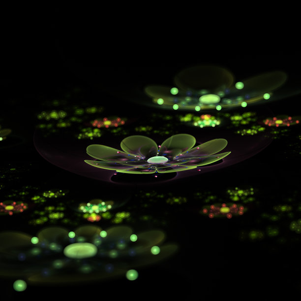 分形花图片下载