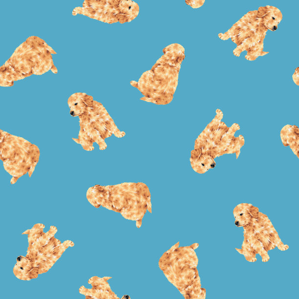 狗演示模式图片下载