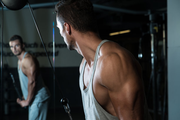 三头肌锻炼图片下载