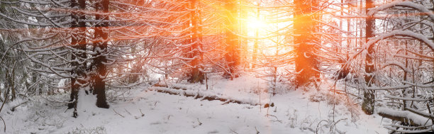 有雾的秋天图片下载