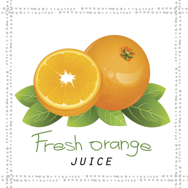 橙色水果片。现实柑桔与叶病媒分离插图素材图片
