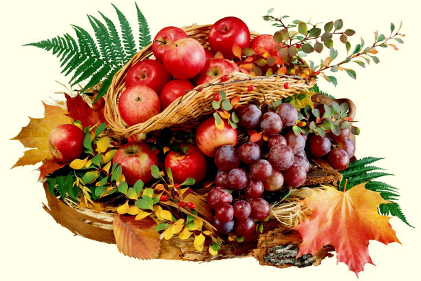 水果篮子。图片下载