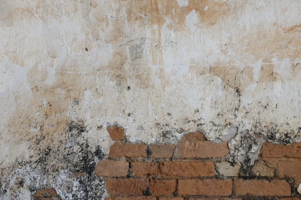 旧墙和旧建筑图片下载