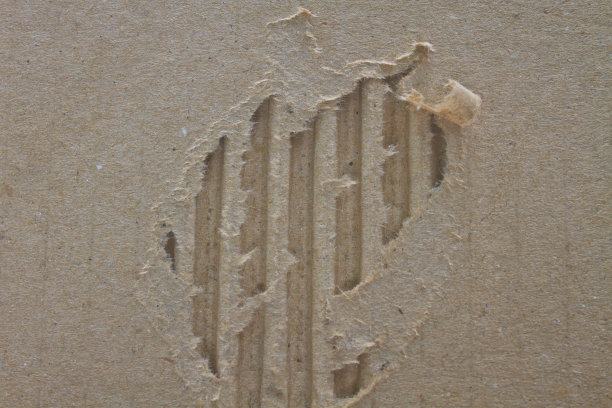 成熟的纸图片下载