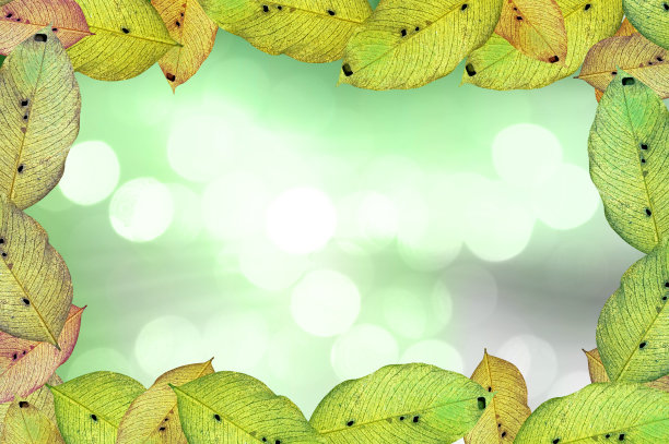 自然绿叶模糊背景图片下载