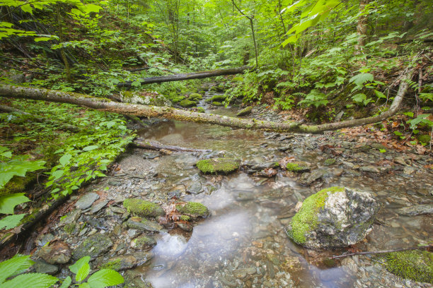 露露的小溪图片下载