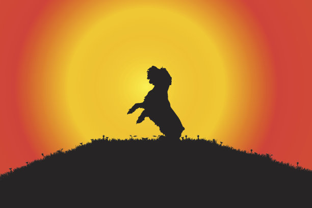 向量轮廓。图片下载