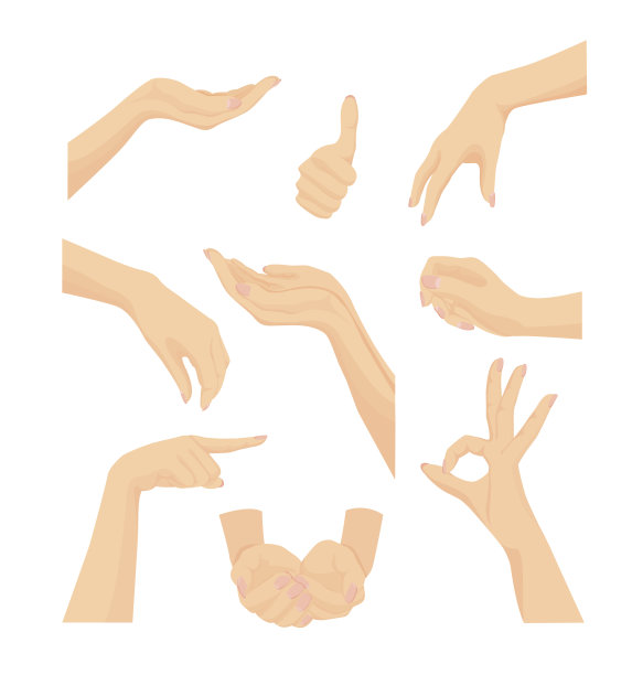 矢量集美丽的女人的手孤立在白色的背景图片下载