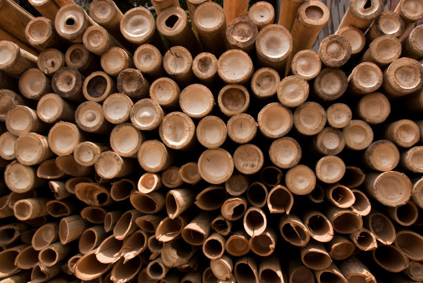 竹子的背景图片下载