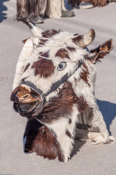 五颜六色的服装和面具图片下载