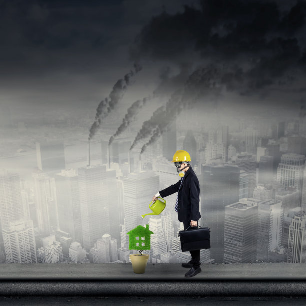 在屋顶上为植物浇水图片下载