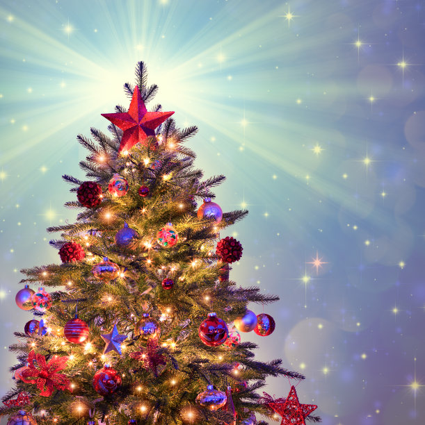 复古的圣诞树图片下载