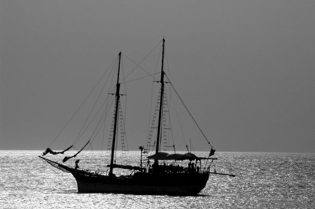 晴空映衬下海上帆船的轮廓图片下载