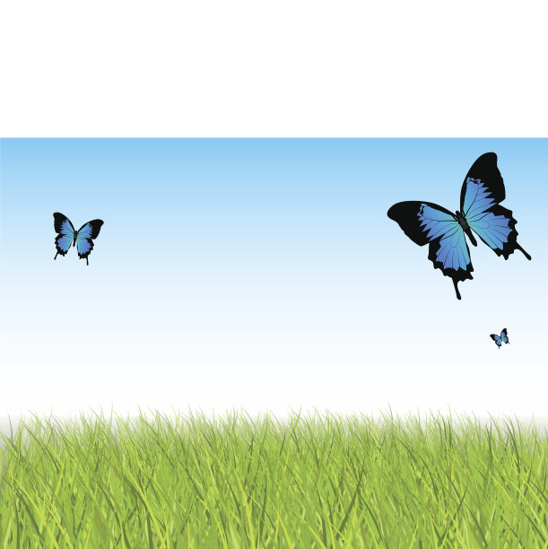 蝴蝶领域图片下载