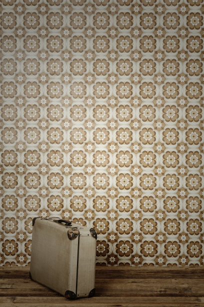 手提箱前有花墙纸，工作室图片下载