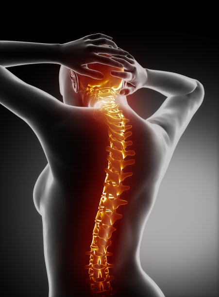 女性脊柱解剖-颈椎疼痛图片下载