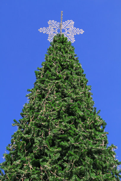 蓝天上的圣诞树图片下载