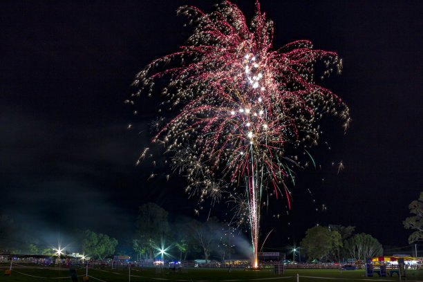 2020年春节图片素材ID：120534586