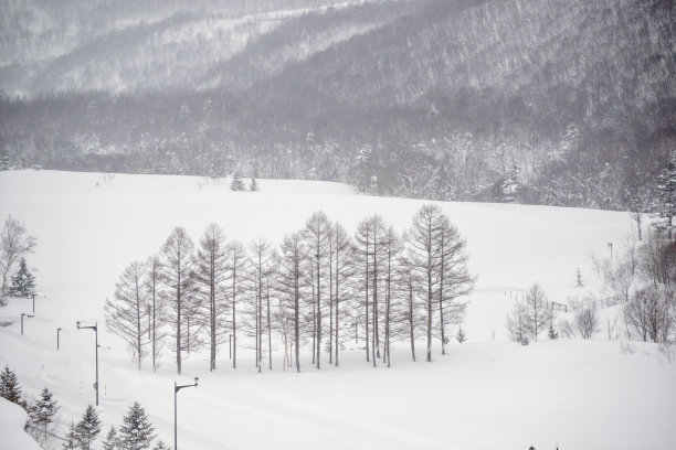 日本北海道冬天下雪图片下载