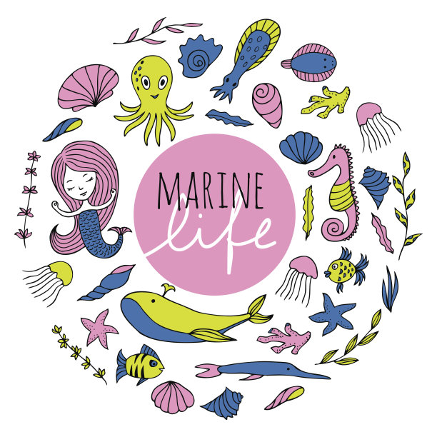 海洋生物向量集。图片下载