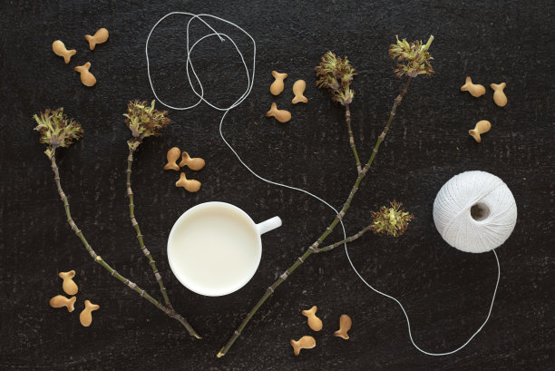 盛开的树枝，牛奶，棉线和饼干图片下载