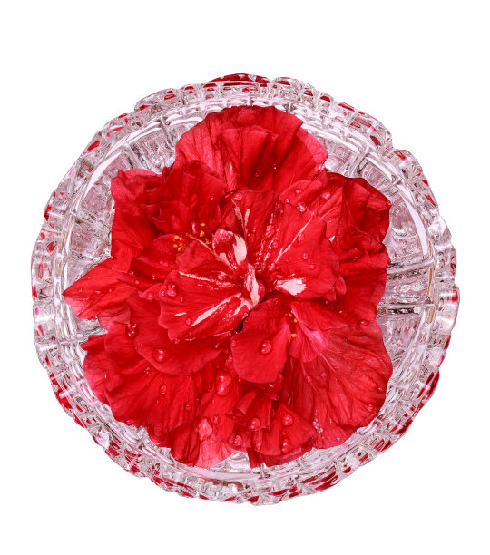 苏丹玫瑰，用于制作茶芙蓉图片下载