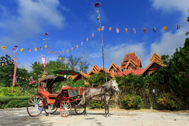 拉车的马，马图片下载