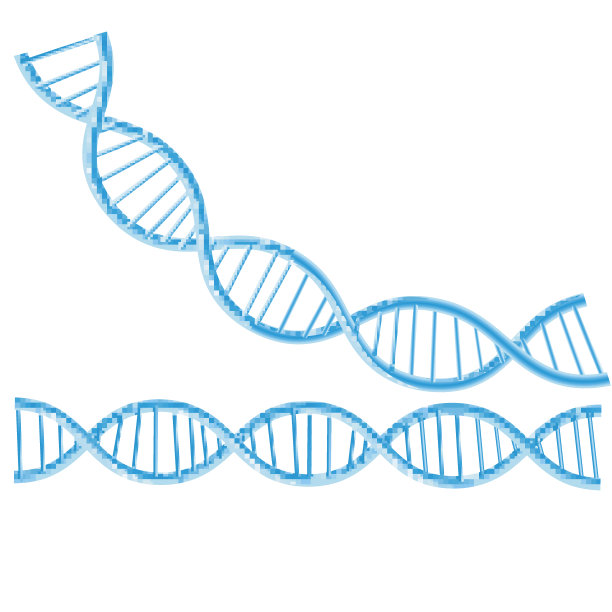 概念Dna分离背景。载体图片下载