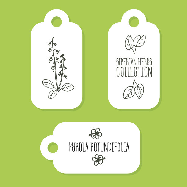 手绘插图-健康和自然设置图片下载