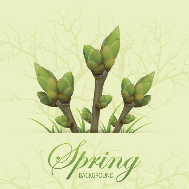 三个春天树枝图片下载