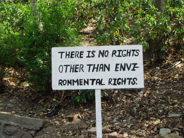 签名-没有权利图片下载