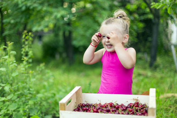 樱桃的女孩图片下载