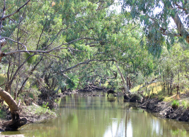 强大的Barcoo图片下载