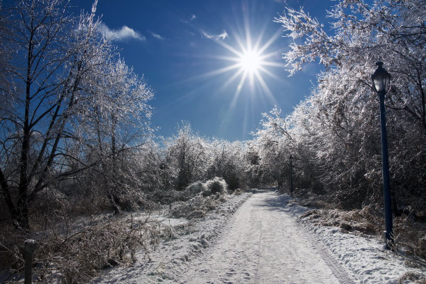 冰冻的道路图片下载