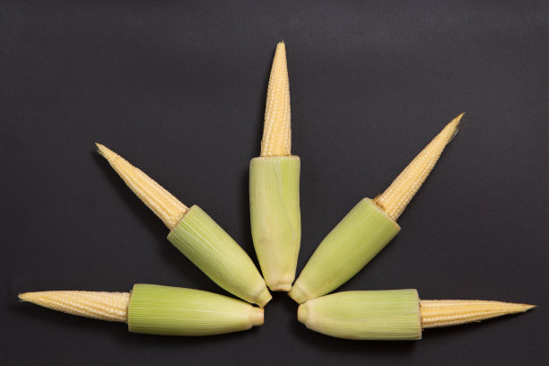 新鲜的生玉米芯图片下载