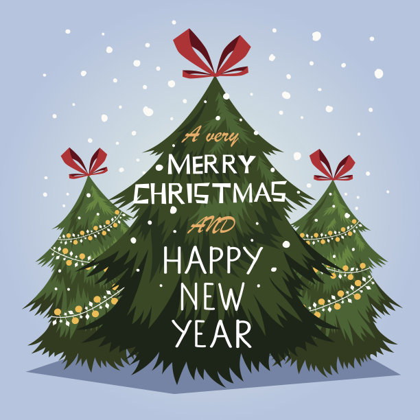 森林。圣诞树。图片下载