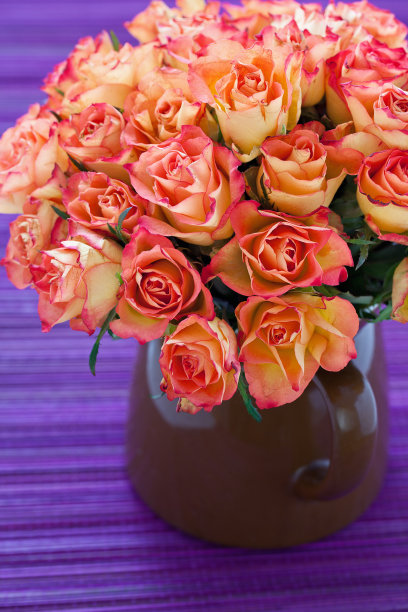 新鲜的玫瑰图片下载