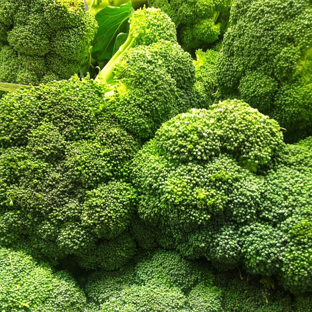 西兰花图片下载