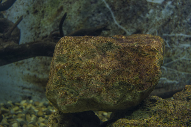 岩石在河里。图片下载