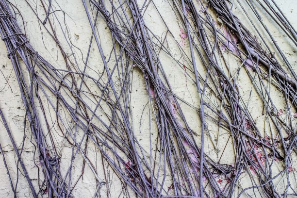 背景纹理图片下载