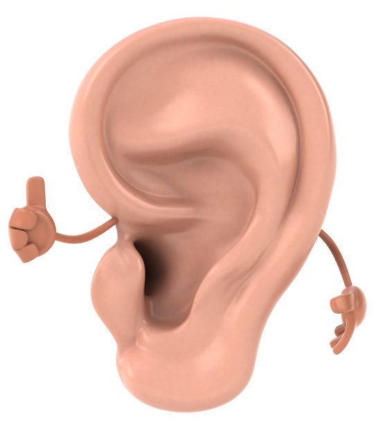 有趣的耳朵图片下载