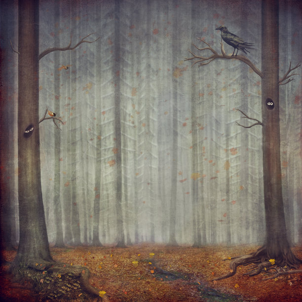 秋天的森林。美丽的自然背景图片下载