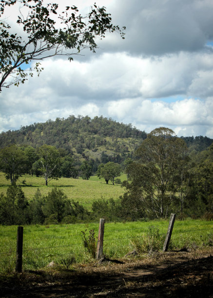 Nymboida农村图片下载