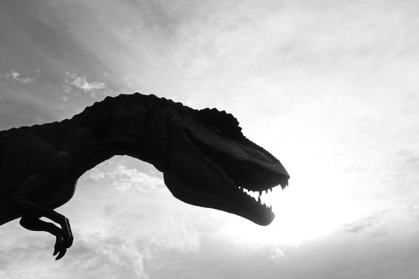 大自然中可爱的恐龙剪影图片下载