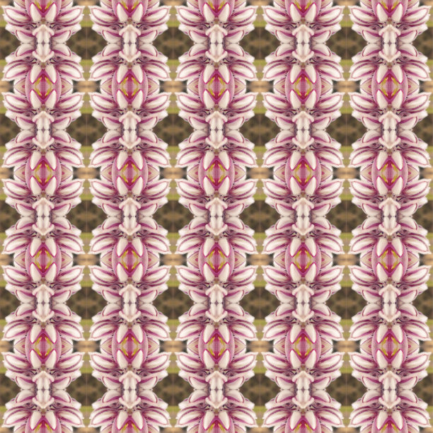 豆科花无缝图片下载